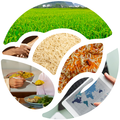 Tuljainternational-1