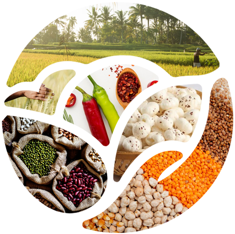 Tuljainternational-2